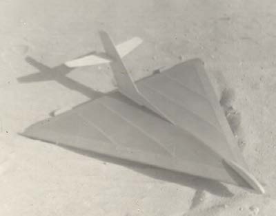 Photograph from the autobiography of Bert C. Striegler, page 12
